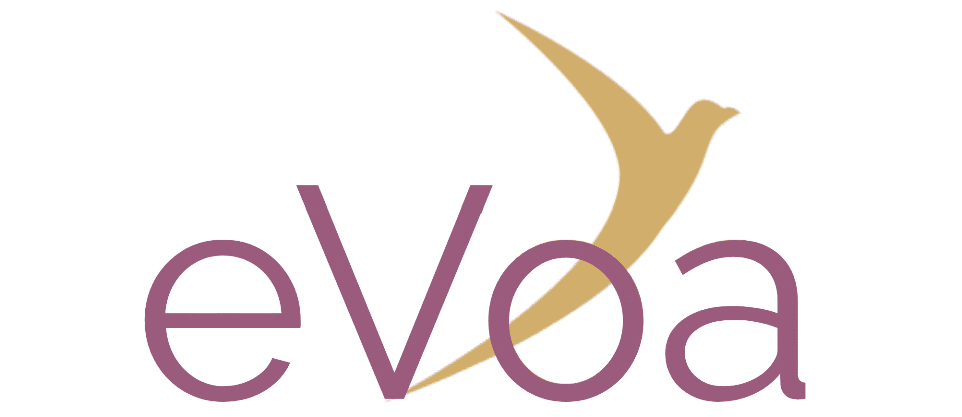 logo do site escrito evoa com V maiúsculo com um pássaro representando a sombro do V